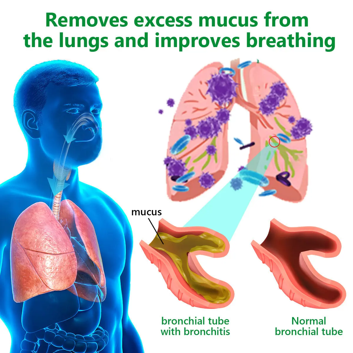 ๐๐๐ค๐ฎ๐ฅ๐จยฎ ๐๐ซ๐ ๐๐ง๐ข๐ ๐๐ฎ๐ง๐ ๐๐ฅ๐๐๐ง๐ฌ๐ข๐ง๐ ๐๐ฎ๐ฅ๐ฅ๐ข๐๐ง ๐๐๐๐ ๐๐ฑ๐ญ๐ซ๐๐๐ญ ๐๐ซ๐จ๐ฉ๐ฌ